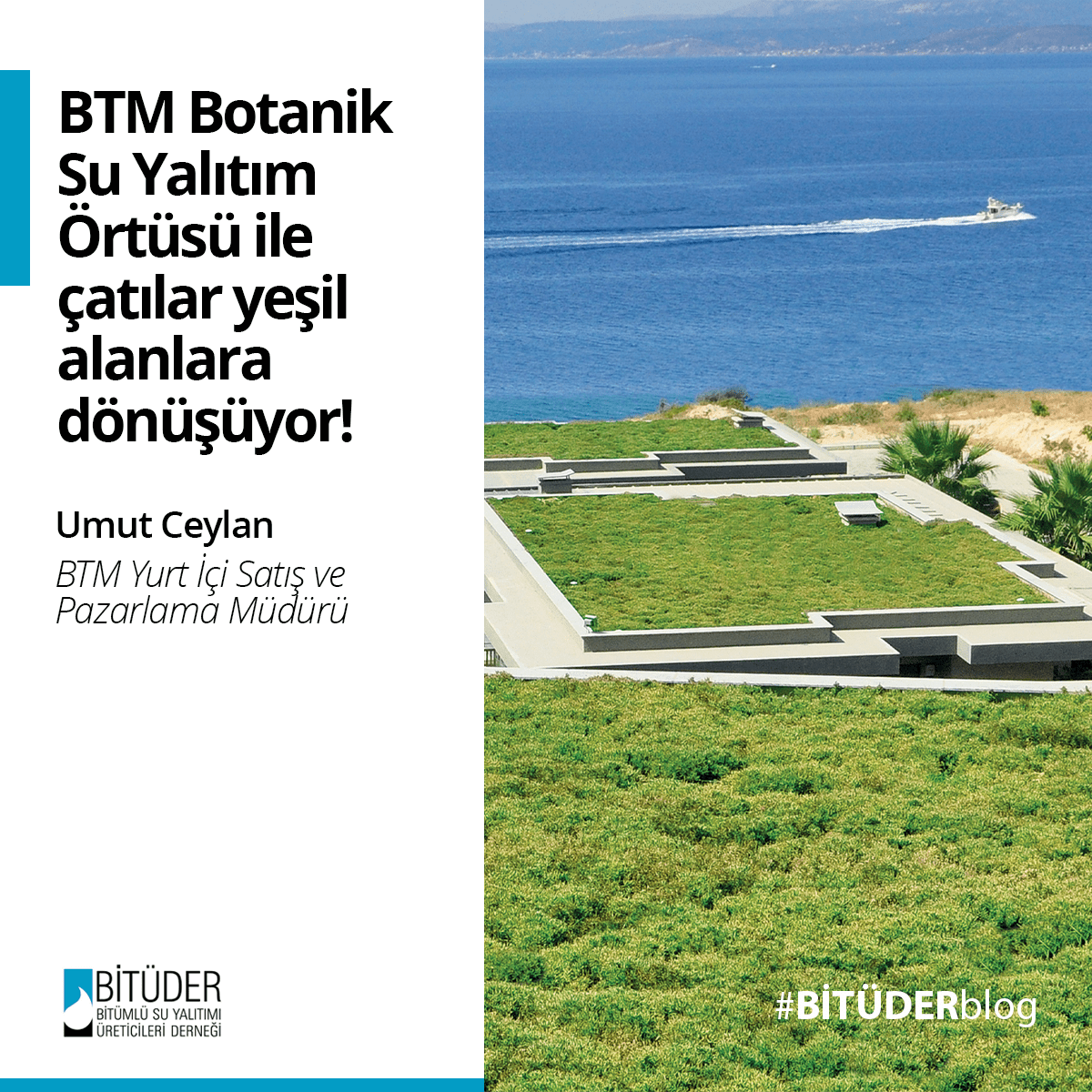 BİTKİLENDİRİLMİŞ YEŞİL ÇATILARIN VAZGEÇİLMEZİ: BOTANİK SU YALITIM ÖRTÜSÜ